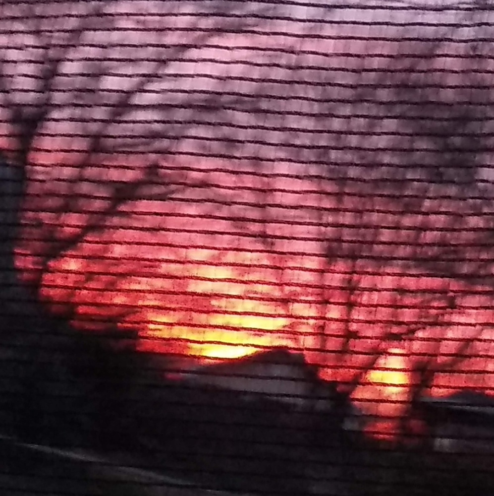 Meet your Posher, Bella